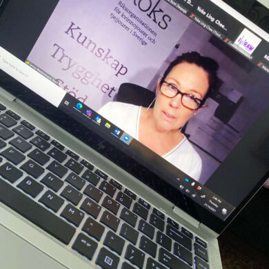 Jenny Westerstrand, Roks